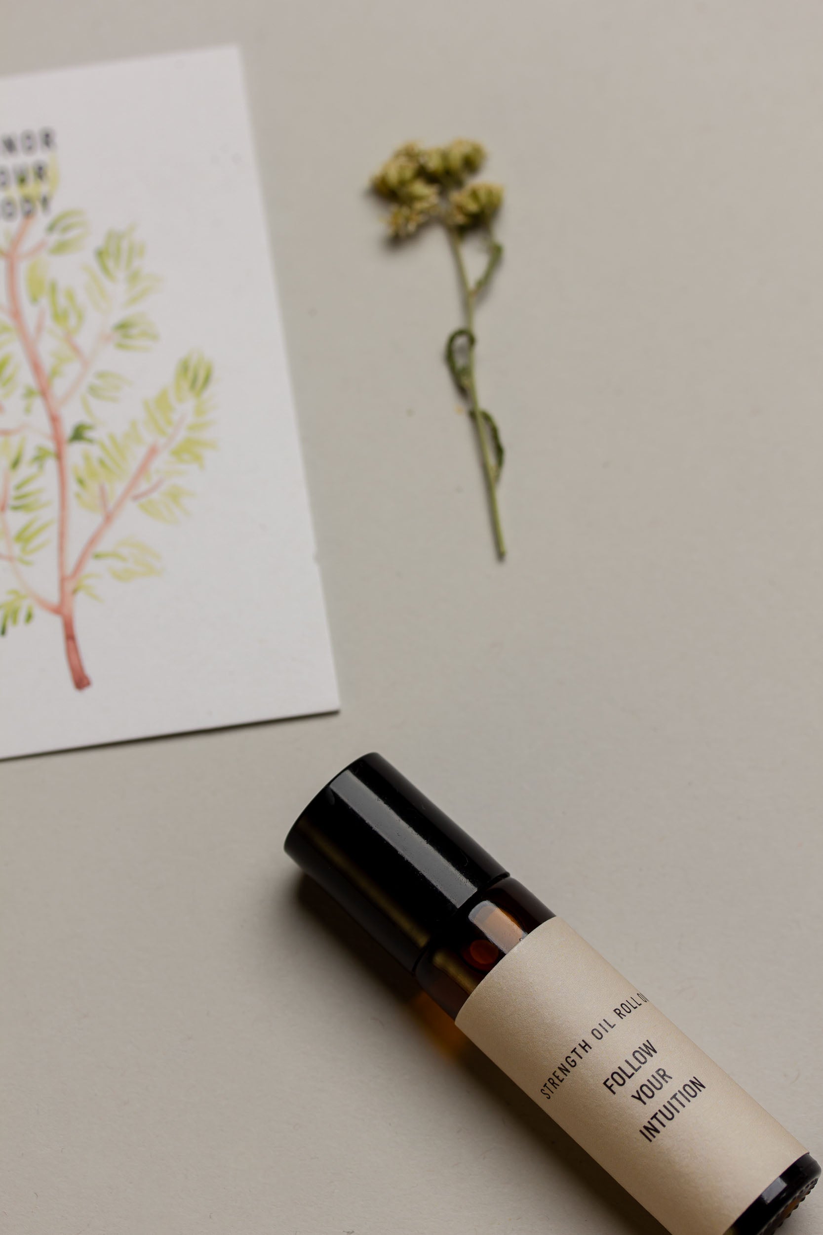 The Mindfulness Kit