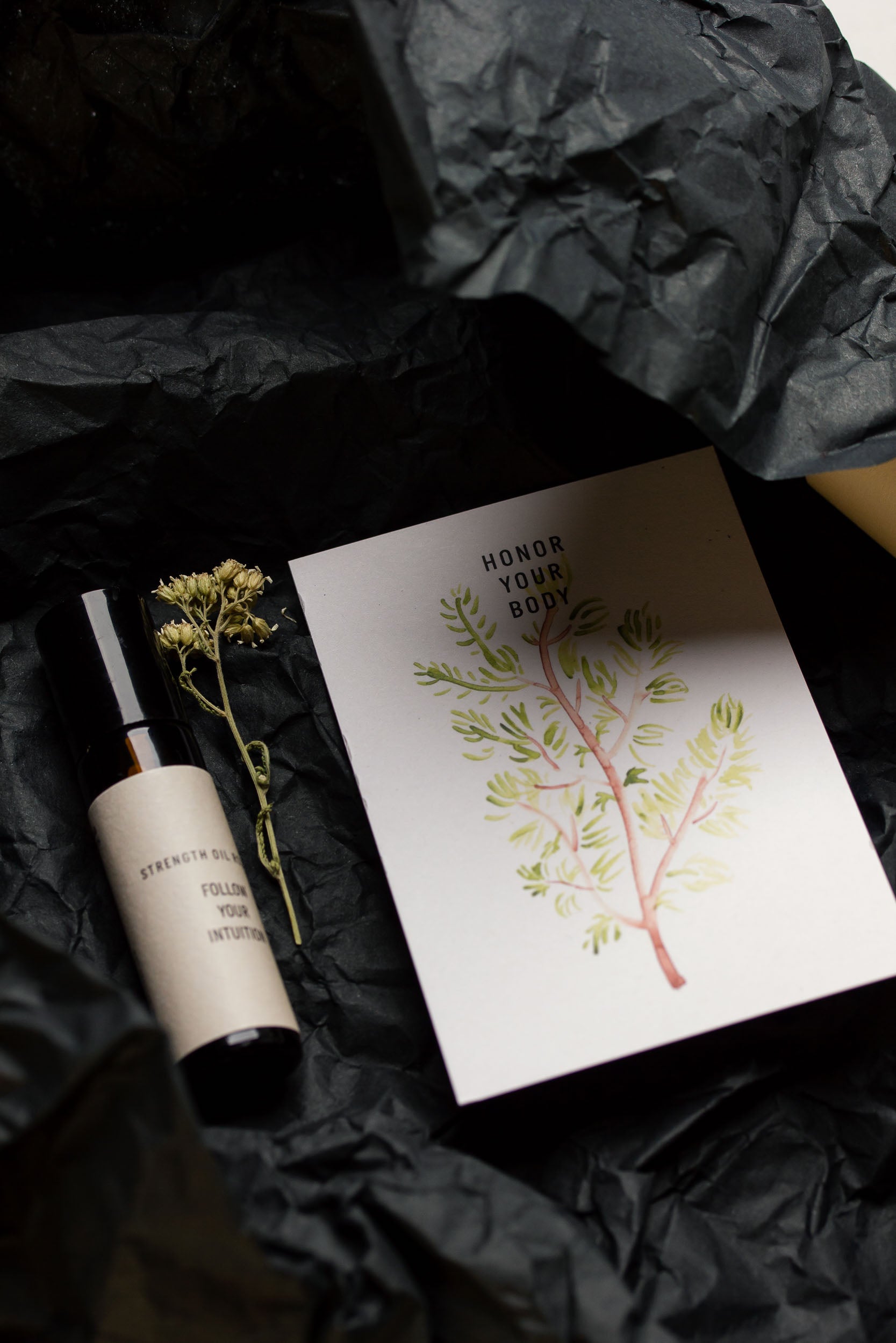 The Mindfulness Kit